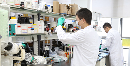 AG8亚洲国际游戏集团_首页官网